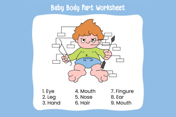 Download Baby Body Part Worksheet - Work Collection